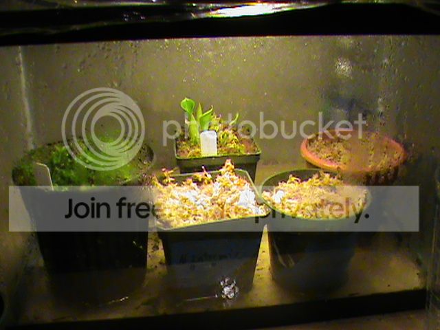 DSC00365_zpsb06ff3b5.jpg