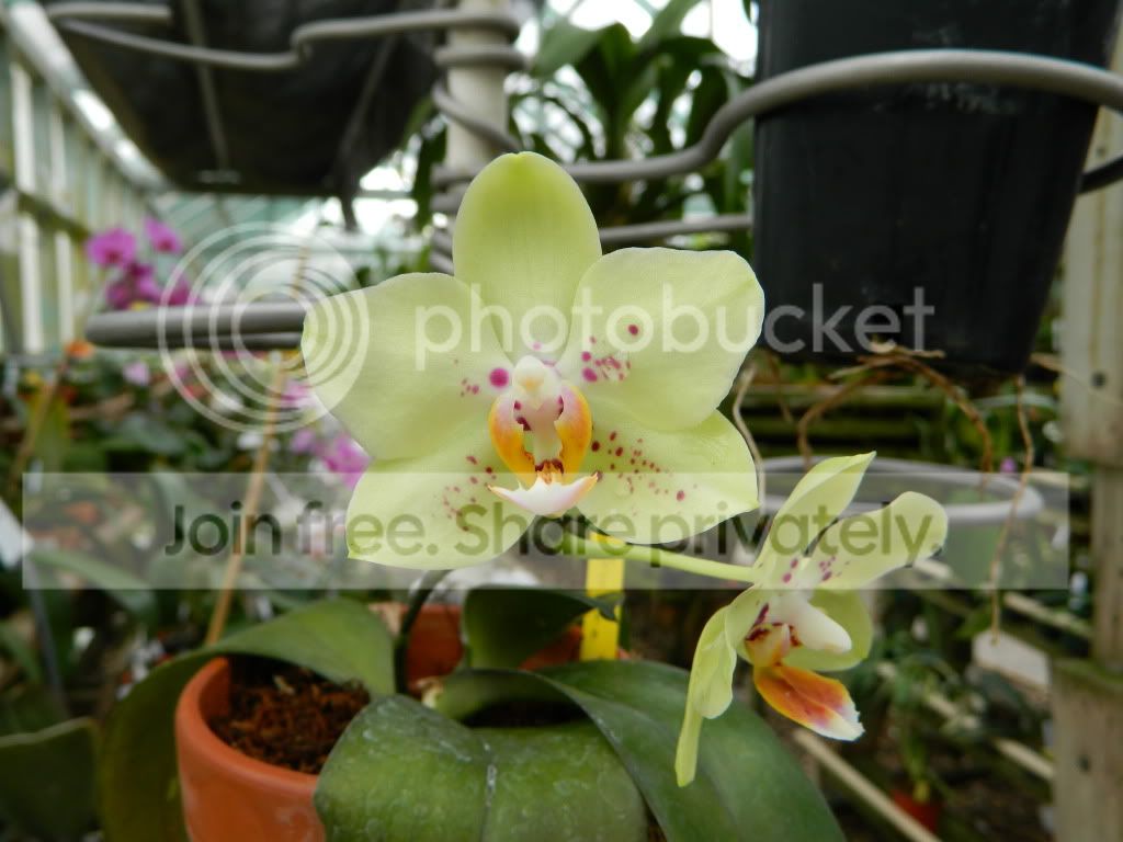 DSCN0107.jpg