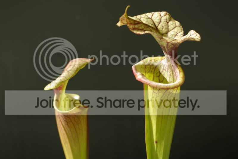_IGP0560.jpg