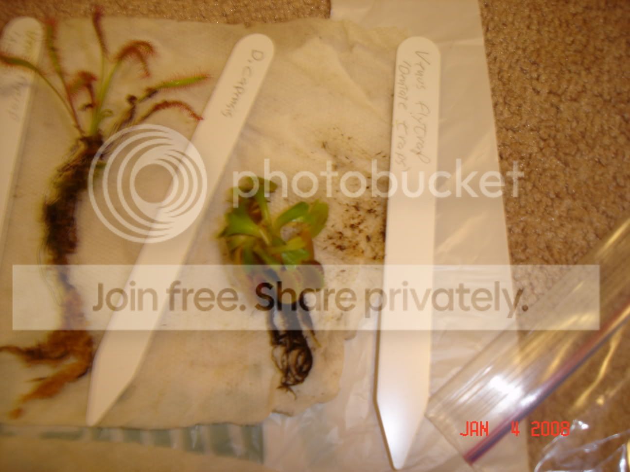DSC00155-1.jpg
