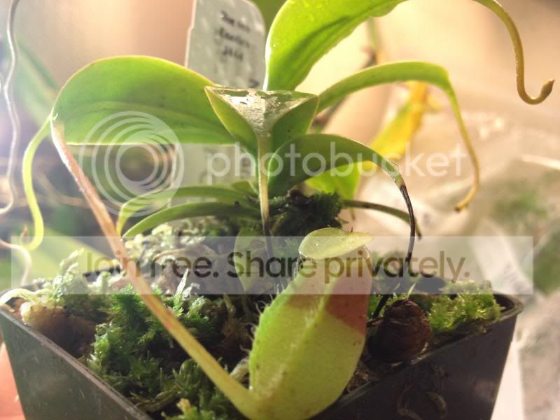 IMG_0662_zps16c507aa.jpg