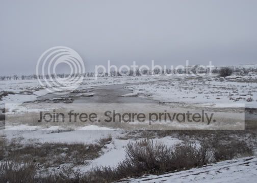 DSCF2573.jpg