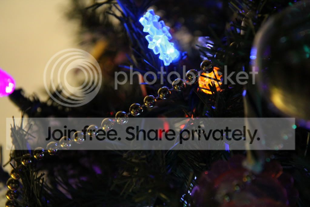 IMG_1054.jpg