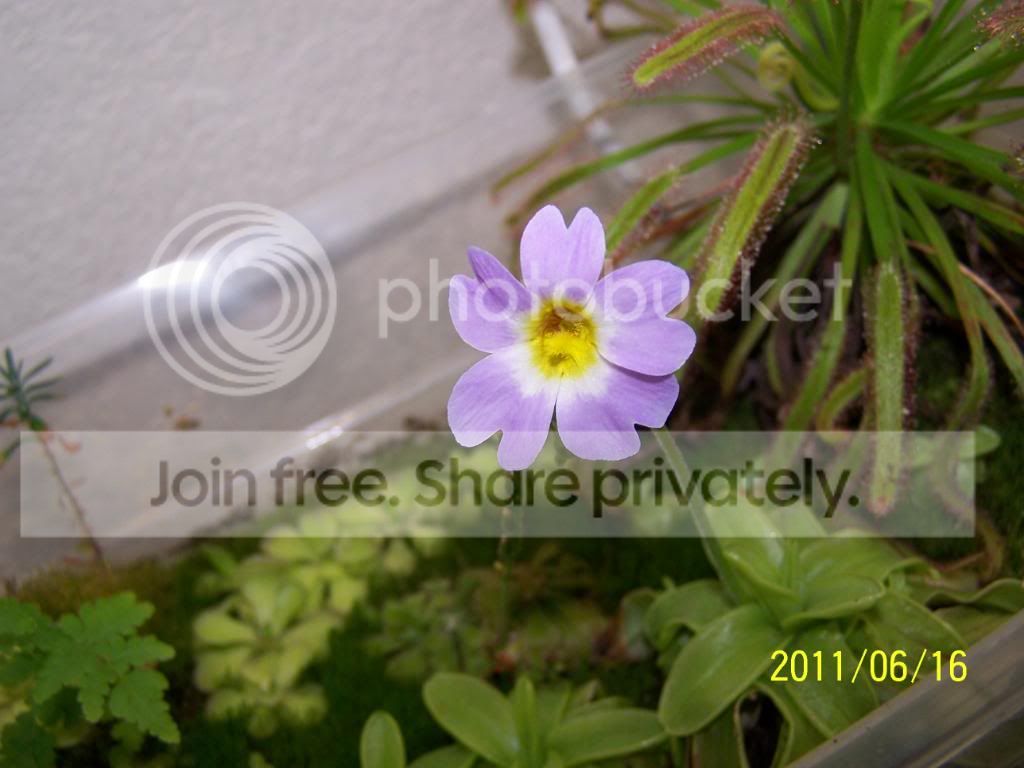 100_4671.jpg