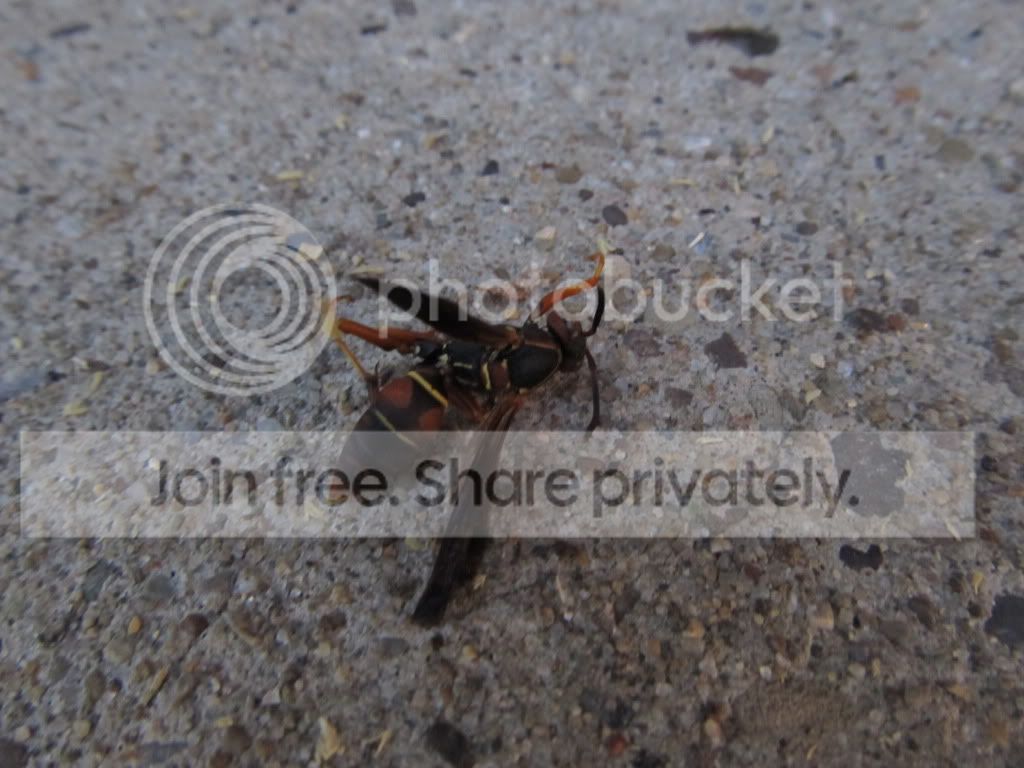 IMG_4805.jpg