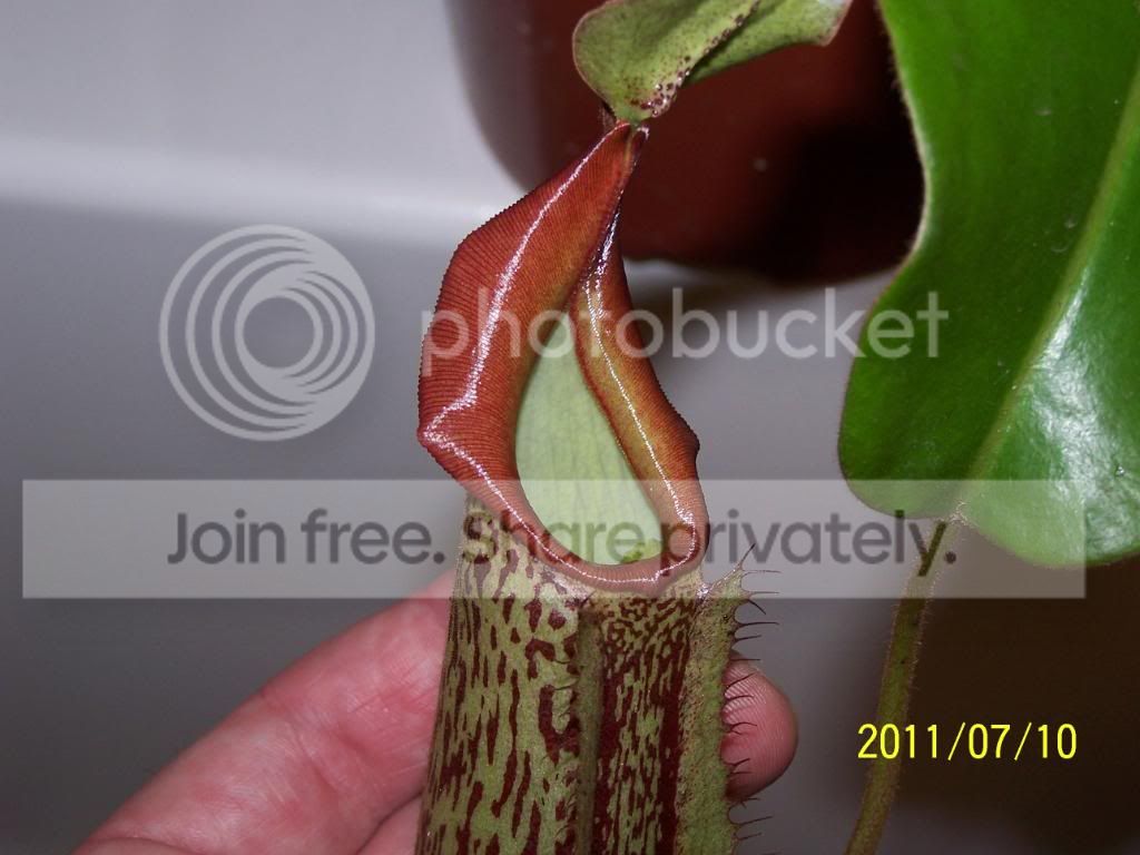 100_4784.jpg