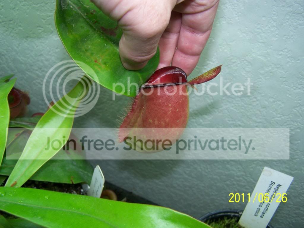 100_4732.jpg
