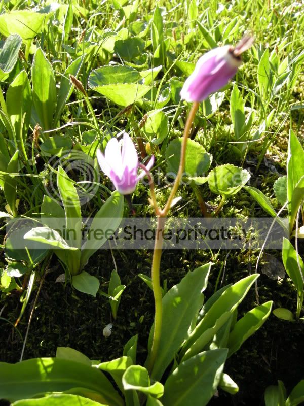 DSCN6231.jpg