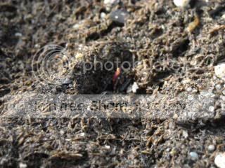DSCN0037-3.jpg