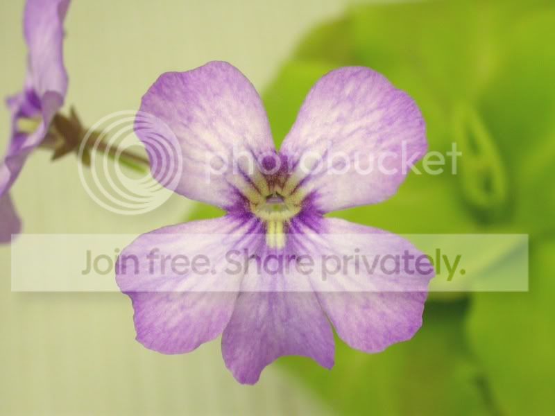 DSCN2425.jpg