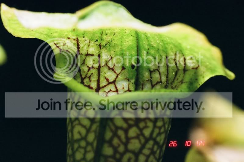 01720012.jpg