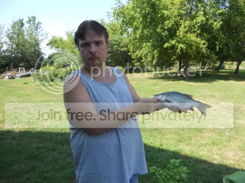 whitebass02_8-7-12.jpg