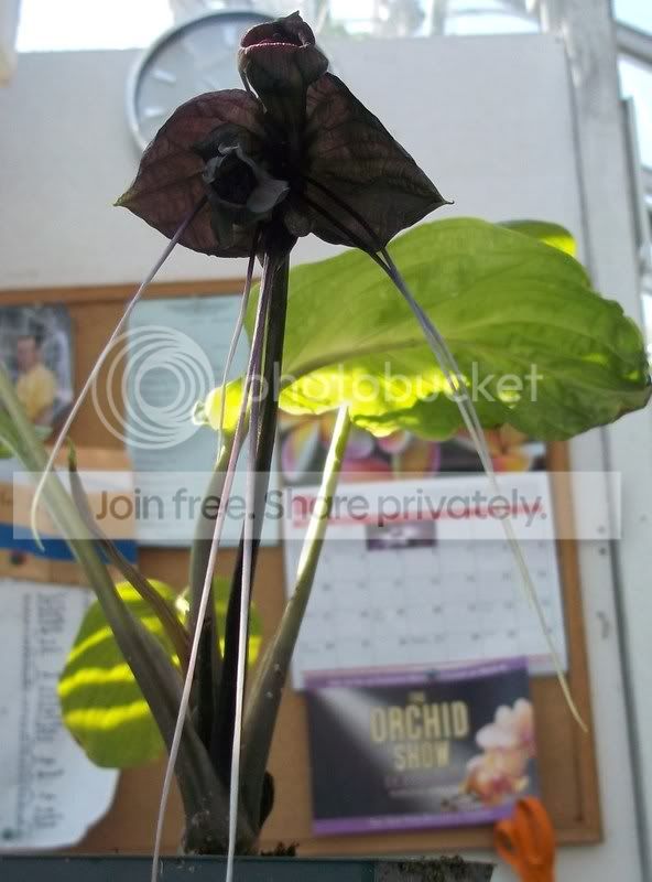 100_0600.jpg