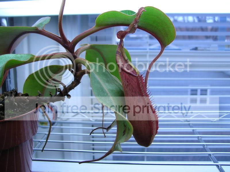 DSCN3476.jpg