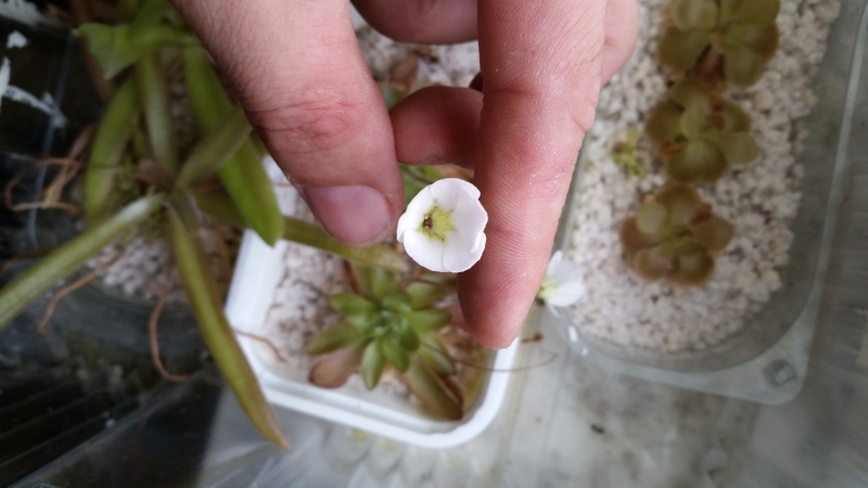 20130310.jpg