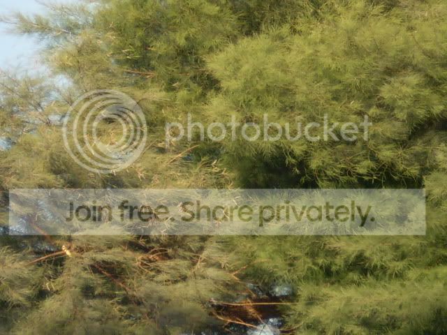 PB190085.jpg