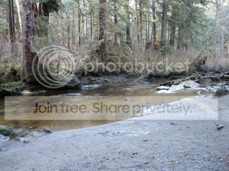 DSCN7058.jpg