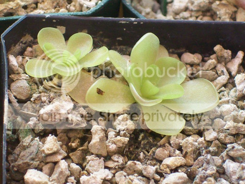 018-1.jpg
