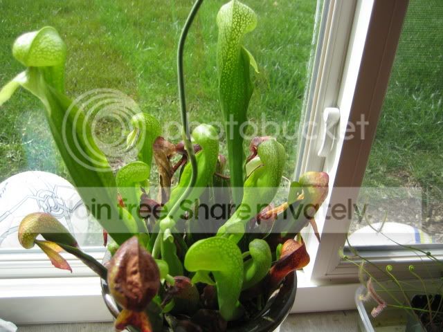picture020.jpg