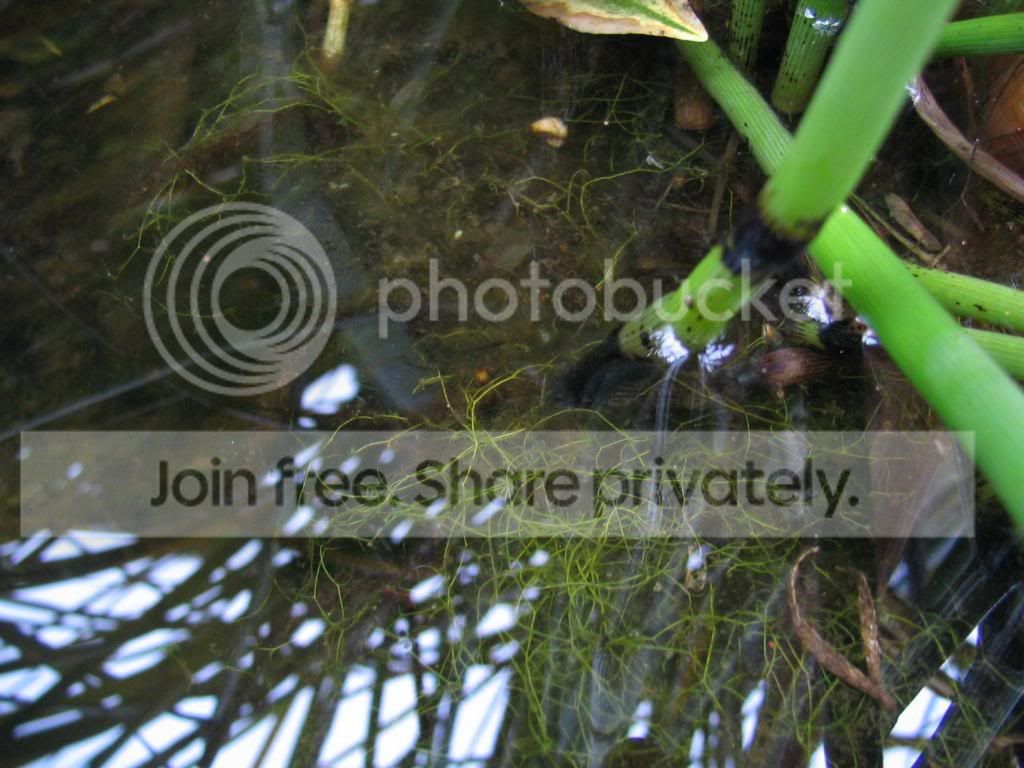 IMG_3162.jpg