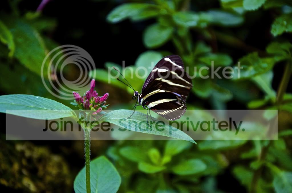 DSC_0810.jpg