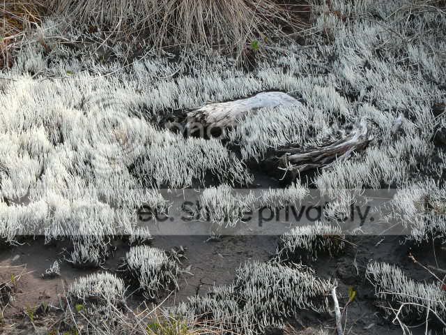 Picture269.jpg