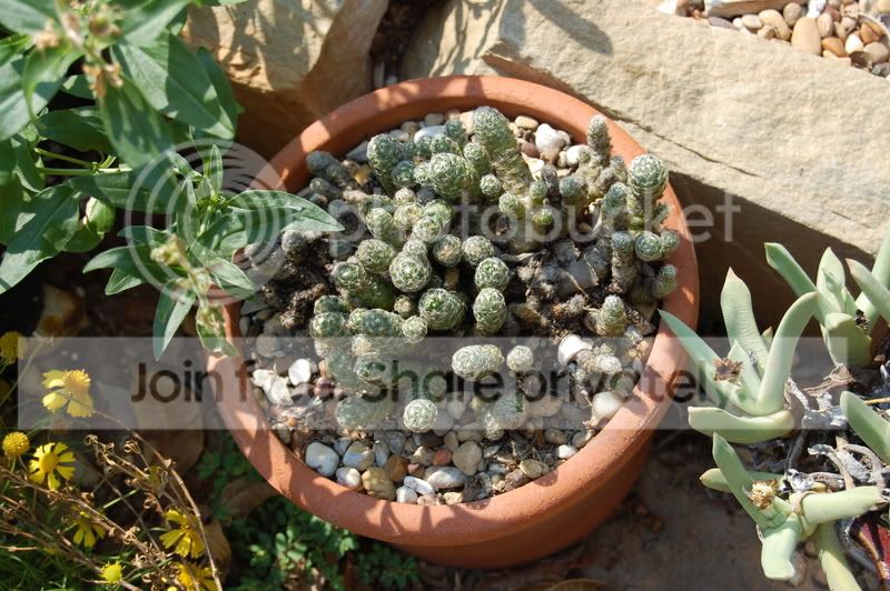 DSC_0129.jpg