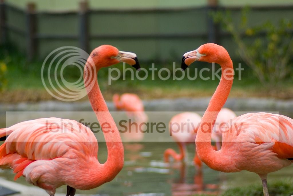 IMGP3641_zpsjnz4lzb6.jpg