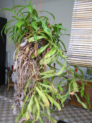 z20251413.jpg