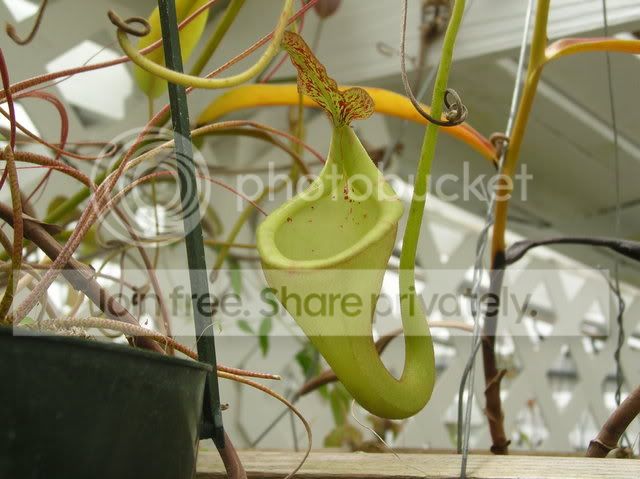 DSCN4353.jpg
