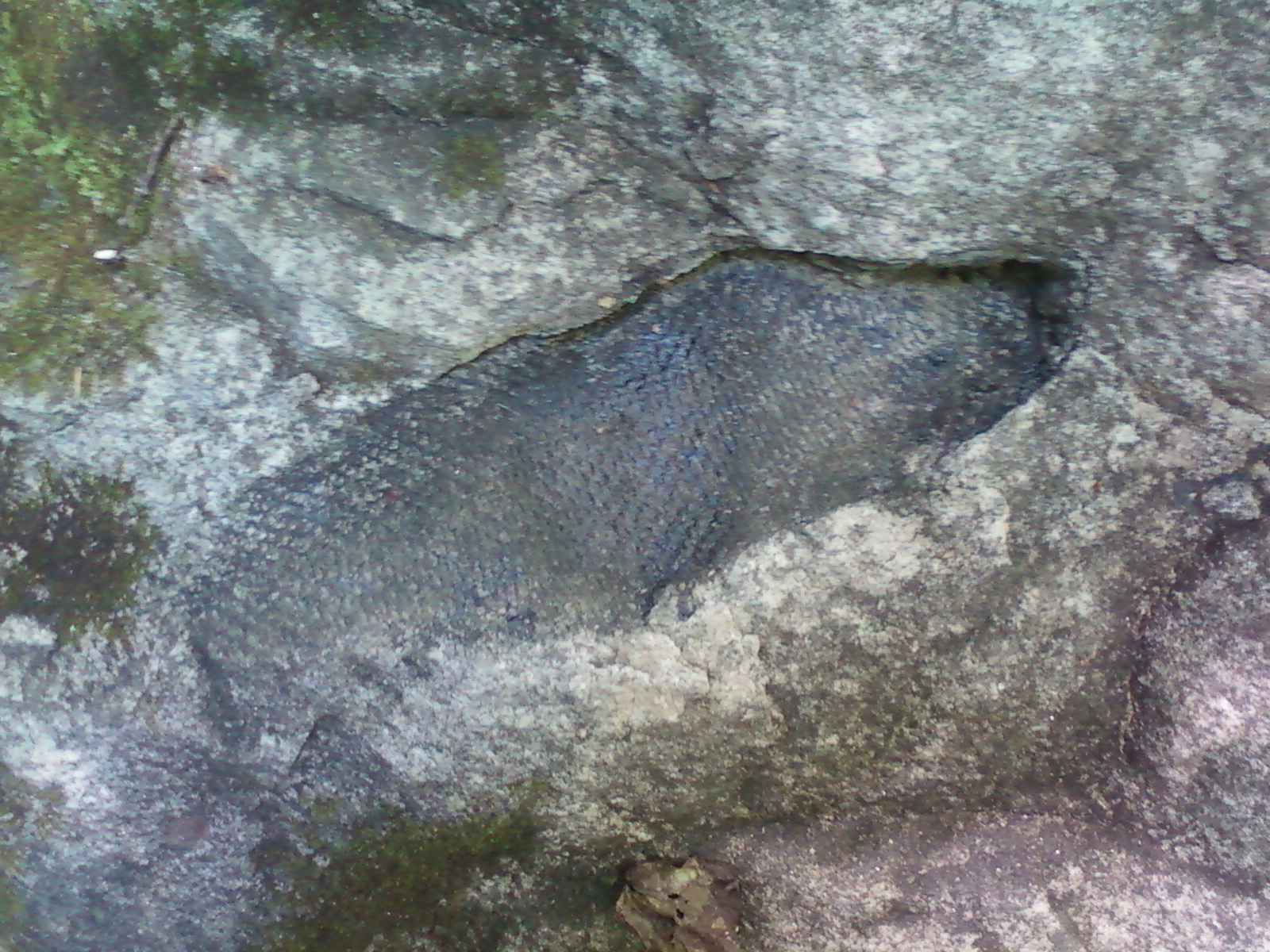 Photo_0064.jpg