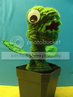 DSC01343.jpg