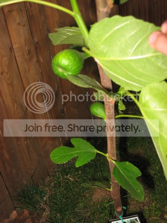 IMG_0591.jpg