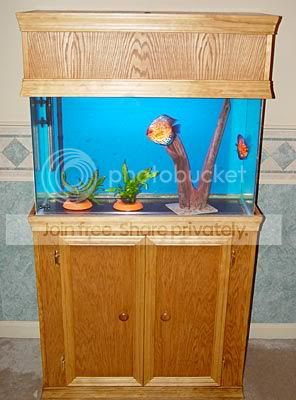 fishcabinet1.jpg