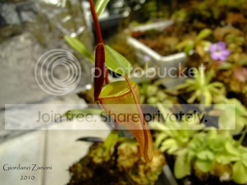 DSCF3118.jpg