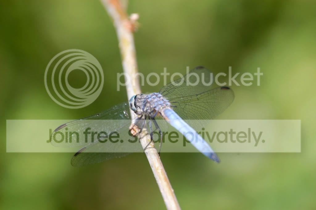 DSC_00240024_2.jpg