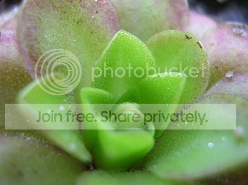 DSCN3558.jpg