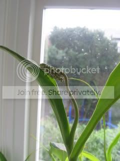 IMG_8811.jpg