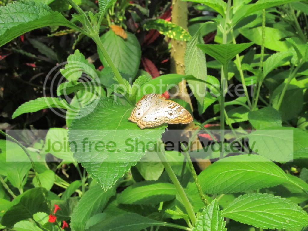IMG_8343.jpg