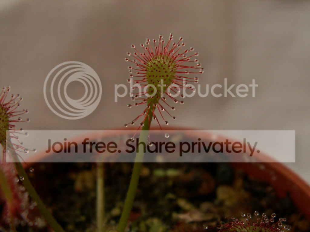 PICT0003-1.jpg