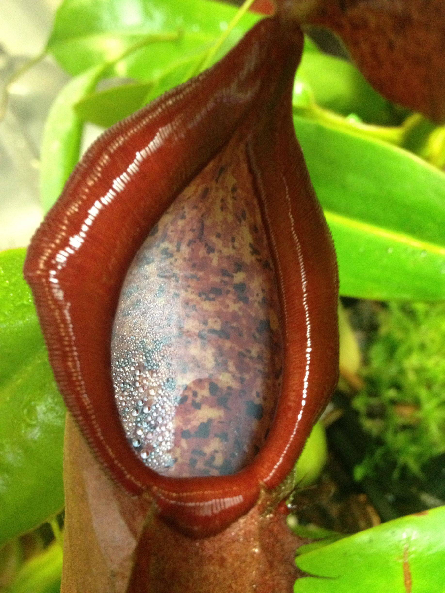 K0bbU.jpg