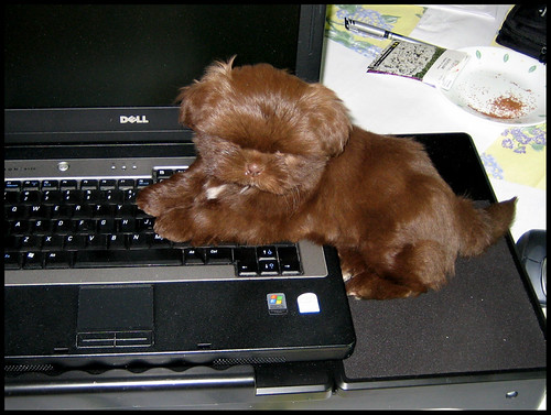 5572920278_5be032e68e.jpg