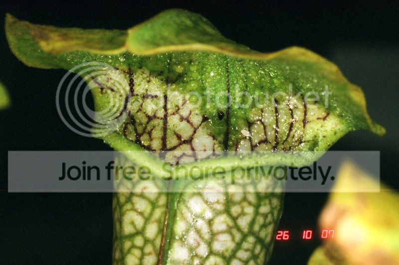 01720010.jpg