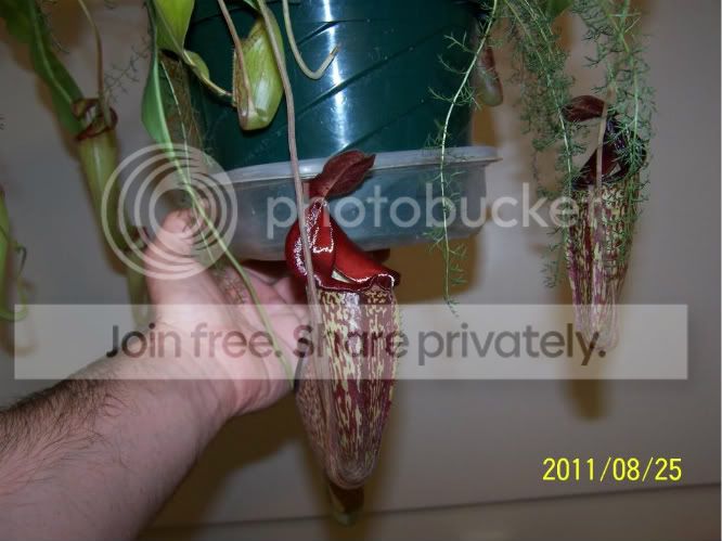 100_5123.jpg