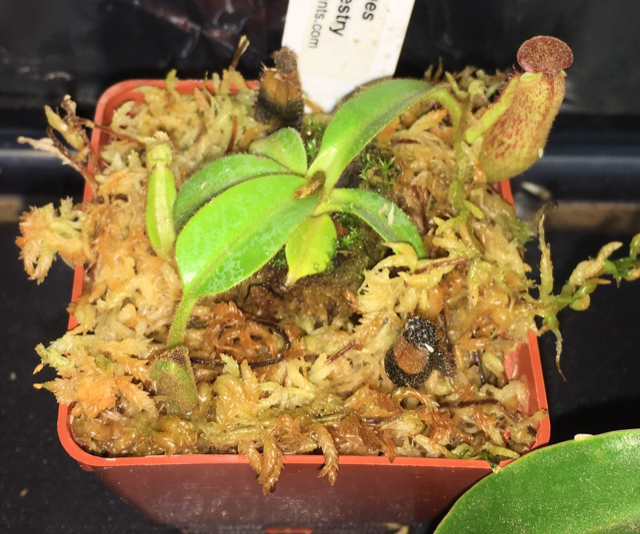 90b5c27c3579725a253a466e93c7bb70.jpg