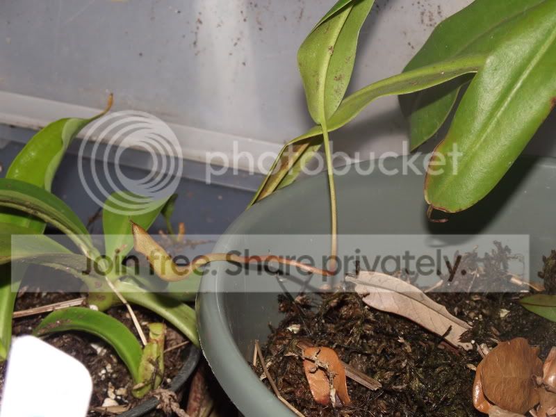 DSCF5490.jpg