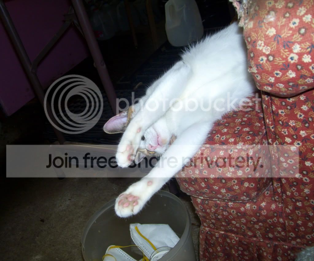 100_4328.jpg