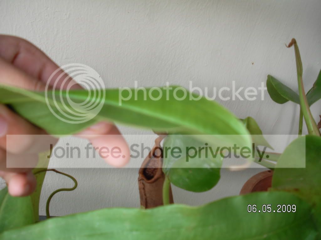 RIMG0281.jpg