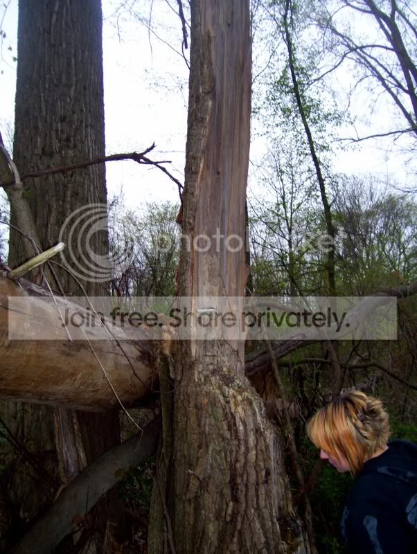 100_3346.jpg