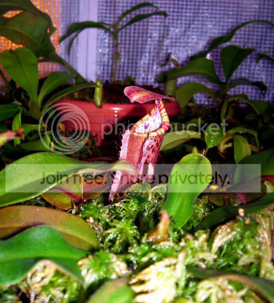 100_6356.jpg